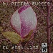 Dj Pietro Ruocco Metamorfismo Damaged Man Metamorphic Remix