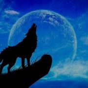 Wolf Howl Moon