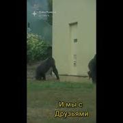 Пацаны Нас Спалили