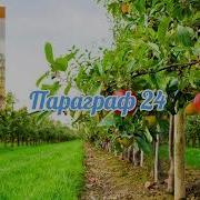 Биология 5 Класс 24 Параграф