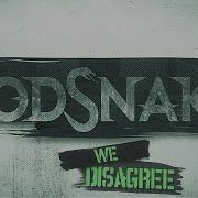 We Disagree Godsnake