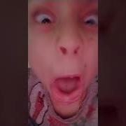 Я Птичка Я Птичка Meme