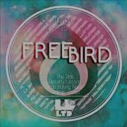 Freebird Cosmic Vodoo