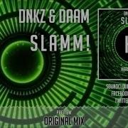 Daam Slamm