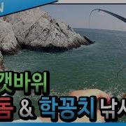 갯바위 낚시 영상 군산