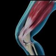 Knee Joint Range Of Movement 3D Medical Animation Abp