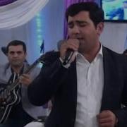 Babek Nifteliyev