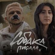 Сабака Писала Сабака Какала