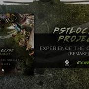 Psilocybe Project Experience The Challenge Remake