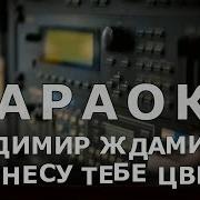 А Я Несу Тебе Цветы Караоке