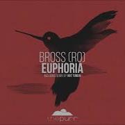 Euphoria Night Mix B Ross