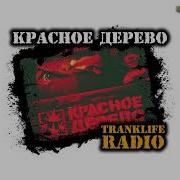 Красное Дерево Сборник