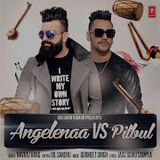 Navraj Hans Angelenaa Vs Pitbul