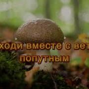 Оксана Нестерова Ты Мое Дежавю
