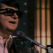 Wild Hearts Run Out Of Time Roy Orbison