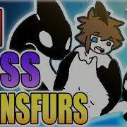 3 2 1 Changed Furry