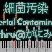 Bacterial Contamination Midi