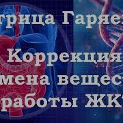 Матрица Гаряева Коррекция Обмена Веществ И Работы Пищеварительного Тракт