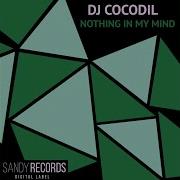 Something In My Mind Dj Cocodil