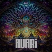 Psychedelic Experience 2024 Pulse Music Records
