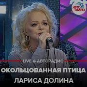 Окольцованная Птица Лариса Долина