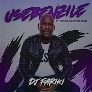 Usebenzile Dj Fariki Topic