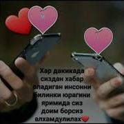 Тилфонта Бардор Касе Занг Задестай