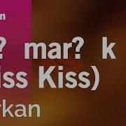 Tarkan Karaoke Минусовки