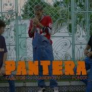 Fonxx Pantera