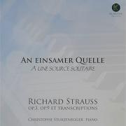 Richard Strauss Mood Pictures Op 9 Trv 127 Excerpts No 3 Intermezzo