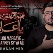 Hum Log Margaye Mir Hasan Mir New Nohay 2024 21 Ramzan Noha 2024 Mola Ali Noha 2024 Mir Hasan Mir