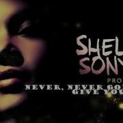 Never Never Gonna Give Ya Up Shelly Sony