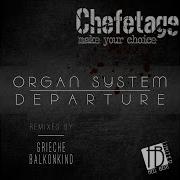 Organ System Chefetage