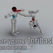 Простые Удары Для Игры Toribash Удары Для Новичков