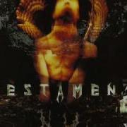 Testament Hail Mary