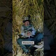 Коп Ичпе Тамашалар
