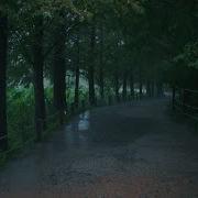 Rainy Walk