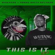 Wirefang This Is It Remix