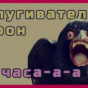 Звуки Хищных Птиц