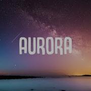 Alan Walker Aurora