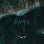 Aiex Spite Cameiia