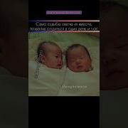 Геи Истинная Красота Дорама Смотреть Softbox Бесплатно