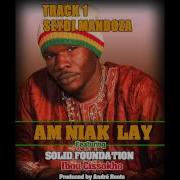 André Roots Am Niak Lay Ft Ibou Cissokho Solid Foundation Band Feat