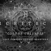 Colony Collapse Architects