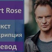 Sting Desert Rose Текст Перевод Транскрипция