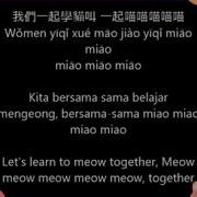 Learn To Meow Xue Mao Jiao 学猫叫 English Pinyin Indonesia Translation