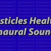 Brainwave Meditation Increase Bigger Testicles Binaural Beats Alpha