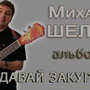 Михаил Шелег Сборник