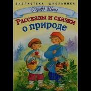 Шим Рассказы И Сказки О Природе