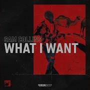 What I Want Extended Mix Sam Collins